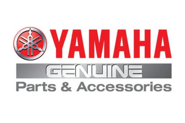 Banshee OEM Clutch Stator Cover Both Left Right Side TITANIUM Bolts Bolt Kit Set - Image 6