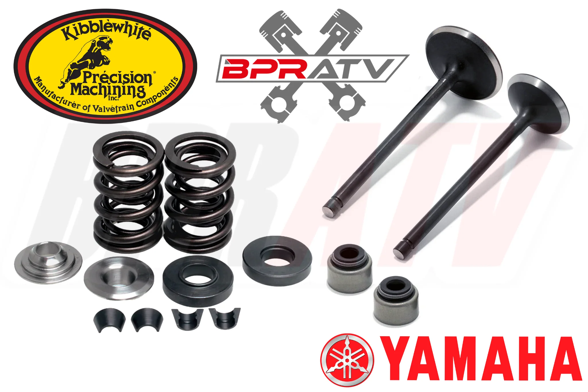 Raptor 350 YFM350R YFM 350R Intake Exhaust Valve Kit & Ti KIBBLEWHITE Spring Kit