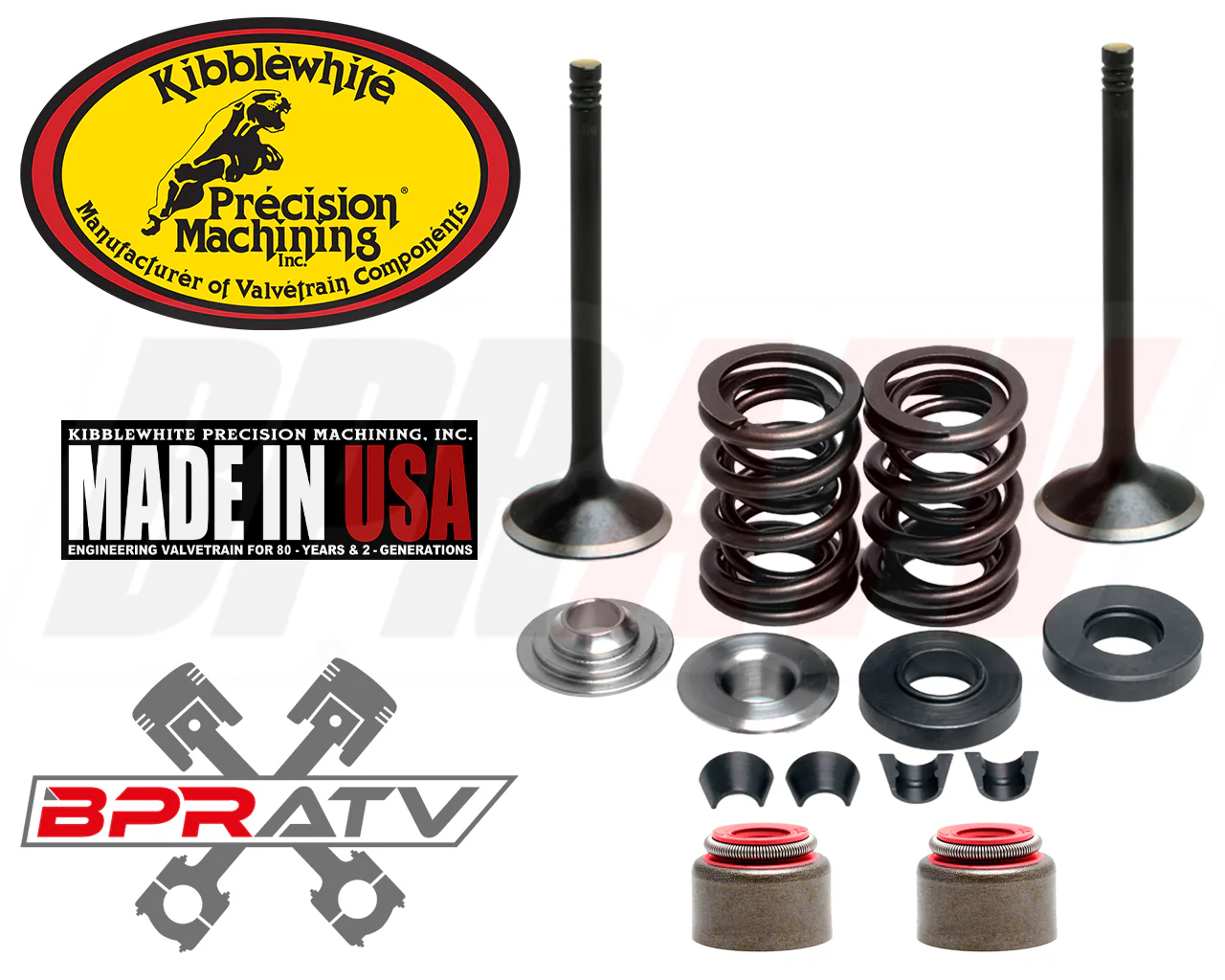 Yamaha XT250 Raptor 250 Valves & Spring Kit Titanium Kibblewhite RED Viton Seals - Image 4